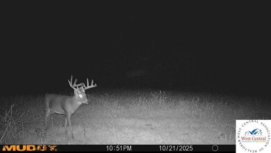 451 Tavern Creek Rd, Iberia, MO 65486 - photo 5