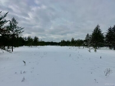 TBD Airfield Rd, Gwinn, MI 49841 - photo 7