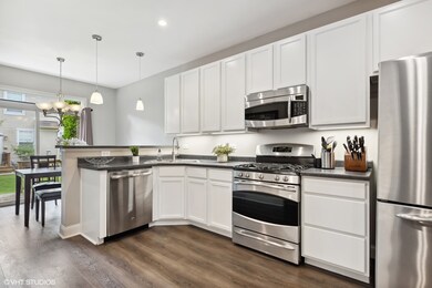 603 S Jade Ln unit 905, Round Lake, IL 60073 - photo 6