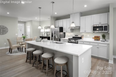 11117 Emerson Landing Dr, Charlotte, NC 28214 - photo 5