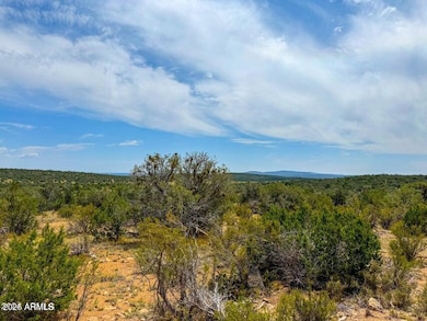 TBD Waterloo Way 1 83 Acres --, Seligman, AZ 86337 - photo 7