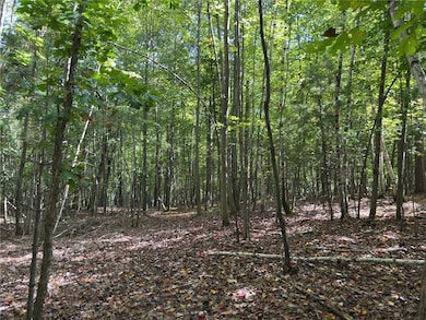 N8188 954th St, Colfax, WI 54730 - photo 5