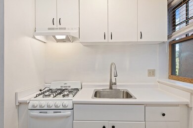 39 Lee St unit 3B, Cambridge, MA 02139 - photo 3