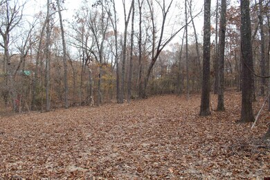 63 Flintridge Ct, Mountain Home, AR 72653 - photo 7