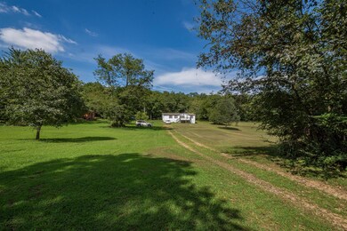 667 Petty Hollow Rd, Prospect, TN 38477 - photo 5