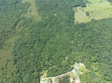 0 W Short Rd unit 25026044, Sanford, MI 48657 - photo 5