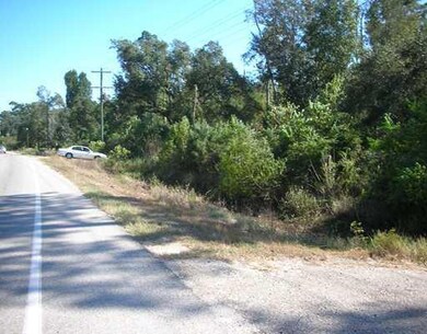 Photo. YOU CAN WALK PROPERTY HEAVLY WOODED NO DRIV