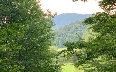 Additional View