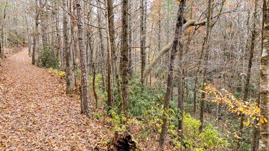 138 Bowater Rd, Tellico Plains, TN 37385 - photo 4