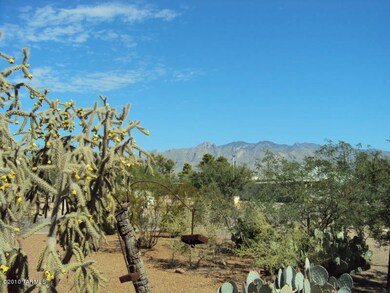 View from Front yard