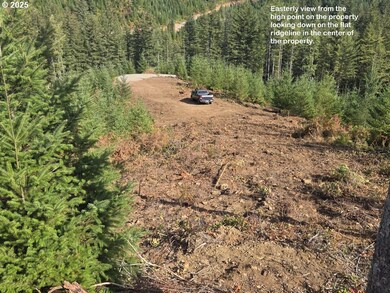 1051 Skamania Mines Rd, Washougal, WA 98671 - photo 6