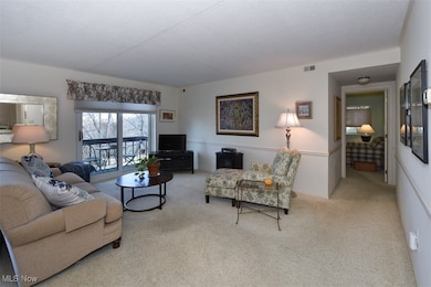 1985 Wooster Rd unit H, Rocky River, OH 44116 - photo 3