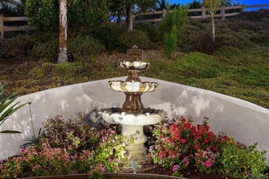 970 Dove Run Rd, Encinitas, CA 92024 - photo 4