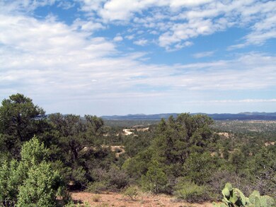 12925 N Quartz Creek, Prescott, AZ 86305 - photo 3
