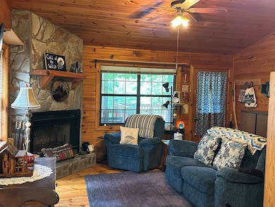 29 River Ranch Rd, Ellijay, GA 30540 - photo 6