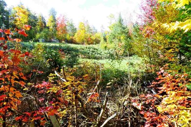 3801 Us Route 5, Sutton, VT 05867 - photo 6