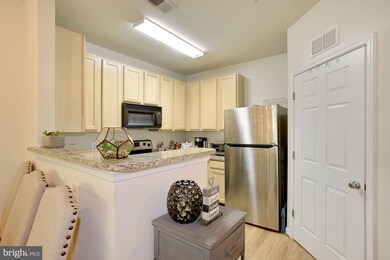 22607 Blue Elder Terrace unit 202, Ashburn, VA 20148 - photo 5