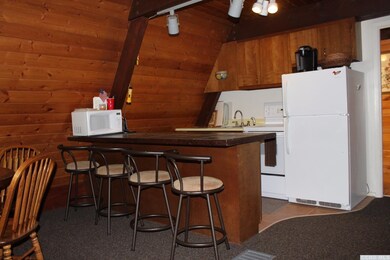 76 Pine Ln, Hunter, NY 12442 - photo 6