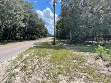 0 Drum Rd, Zephyrhills, FL 33541 - photo 3