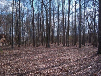 Bates Property