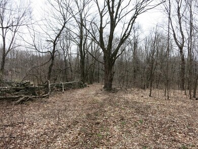 209 Wales Rd, Monson, MA 01057 - photo 7