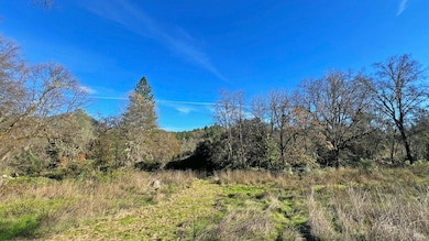 17561 Van Arsdale Rd, Potter Valley, CA 95469 - photo 7