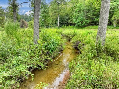 34.51 AC Weaver Creek Rd, Blue Ridge, GA 30513 - photo 7