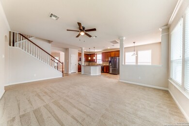 25031 Mc Bride Dr, San Antonio, TX 78255 - photo 4