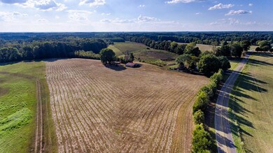 0 Salem Minor Hill Rd unit 1966616, Minor Hill, TN 38473 - photo 6