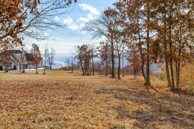 34-Lot 79 (3)
