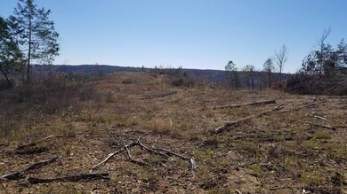 0 Highway 128 unit 2207517, Linden, TN 37096 - photo 3