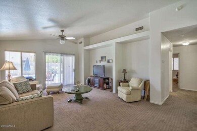 Vaulted Great Room