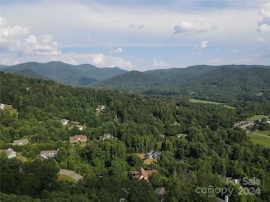 Lots 2, 135 and Pt 1 High Bluff Dr, Weaverville, NC 28787 - photo 7