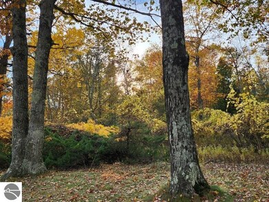 7739 N Us Highway 23, Oscoda, MI 48750 - photo 5