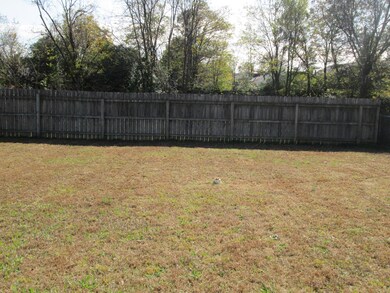 10317 Goodman Rd - Backyard, 11.13.2020