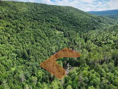 32 Hunter Brook Rd, Newfane, VT 05351 - photo 2