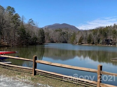 Lot 309 Sanderling Ct, Lake Lure, NC 28746 - photo 5