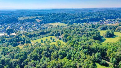 2205 W Gallaher Ferry Rd, Hardin Valley, TN 37932 - photo 3