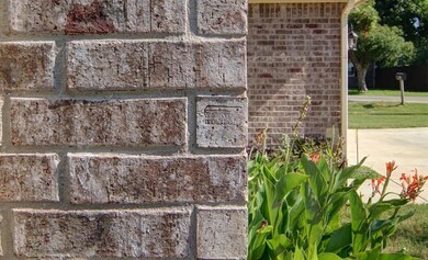 257 Walnut Bend Rd, Springtown, TX 76082 - photo 4