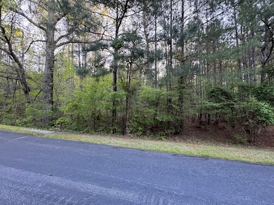 Lot 32A E Commodore Dr, Cross Hill, SC 29332 - photo 3