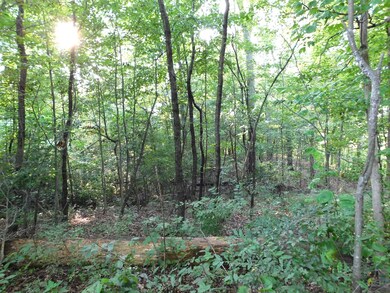 1956 E County Road 500 S, Greensburg, IN 47240 - photo 6