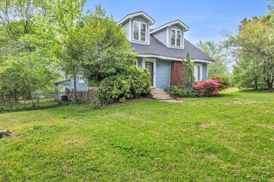 Lush lawn