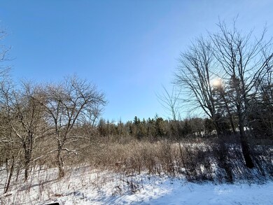 0 Hank Wilson Rd, Cadyville, NY 12918 - photo 7