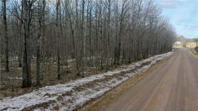 XXX 15th Ave, Rice Lake, WI 54868 - photo 7