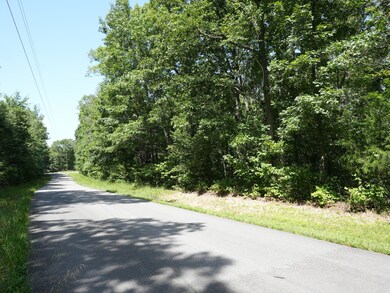 5 Tummins Rd, McEwen, TN 37101 - photo 2