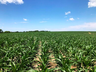 98.33 acres Pikes Peak Rd, Lancaster, WI 53813 - photo 3