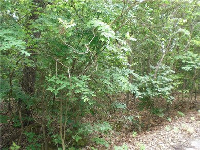 0 Ludlow Cir unit 1031218, Bella Vista, AR 72715 - photo 3