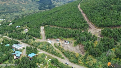 8460 Paine Rd, Anchorage, AK 99516 - photo 6