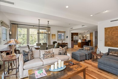 101 N Spring St unit 302, Aspen, CO 81611 - photo 4