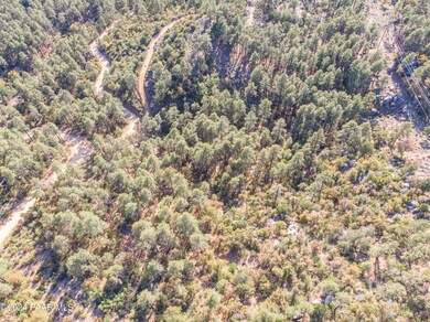 Copper Basin C (5 of 17)